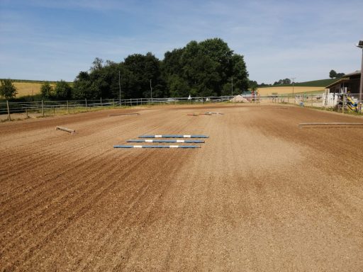 Außenreitplatz/ Longierzirkel